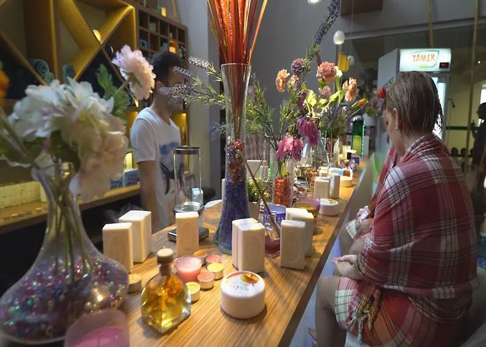 Exelsior Junior 马尔马里斯